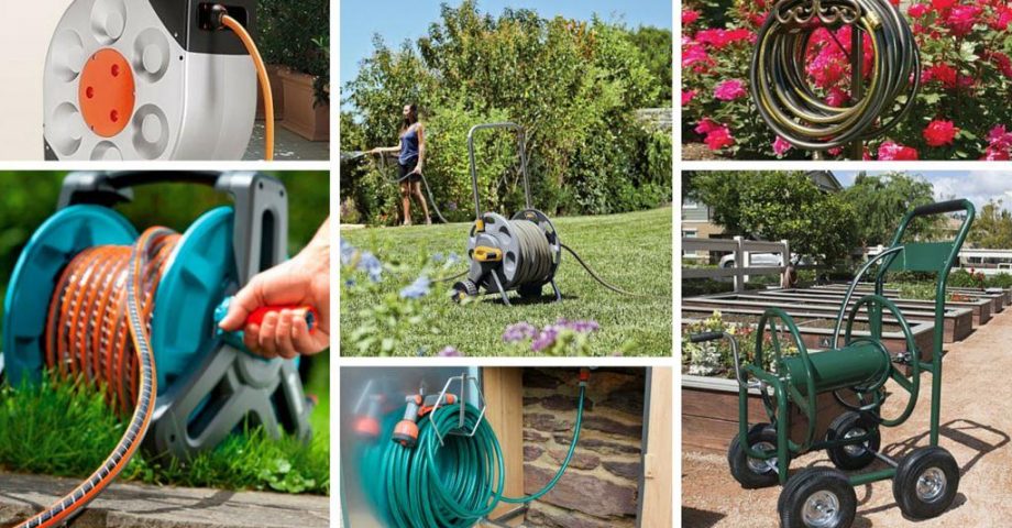 Garten pflanzen - Seite 3