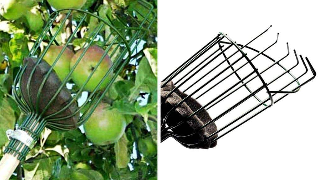 Apple Picker