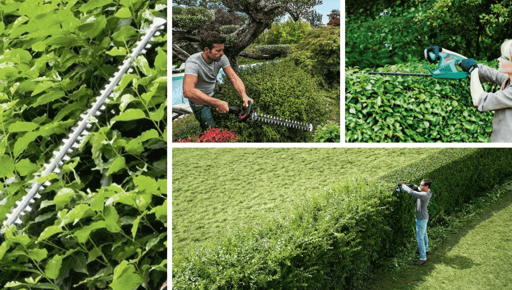 Hecke Schwert