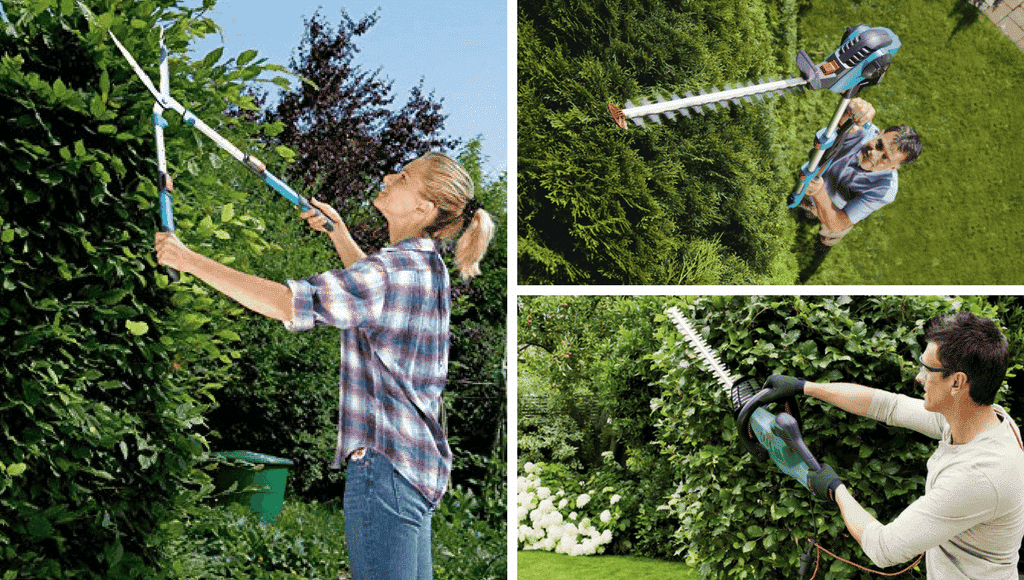 Hecke Modelle