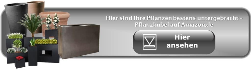 PflanzKübel