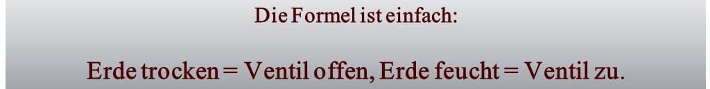 Formel