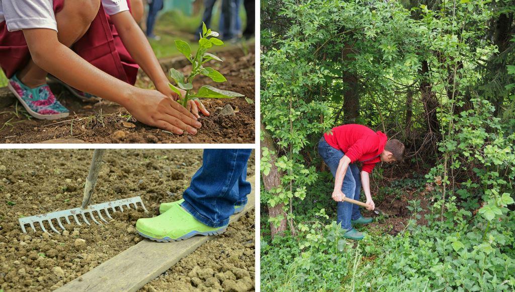 Gartenarbeit bücken