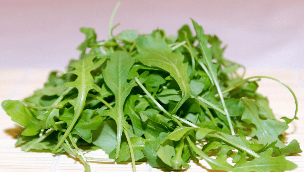 Ruccola