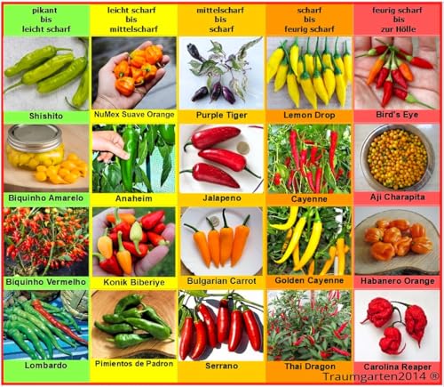Chili Set 20 Sorten Samen Saatgut einzelnd verpackt von pikant bis extrem scharf aus aller Welt Peperoni
