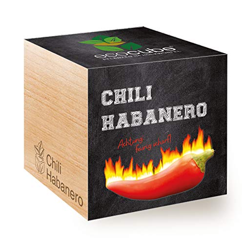 Feel Green 296435 Ecocube Chili Habanero, Feurig Scharf, Nachhaltige Geschenkidee (100% Eco Friendly), Grow Your Own/Anzuchtset, Pflanzen Im Holzwürfel 7.5 cm, Made in Austria