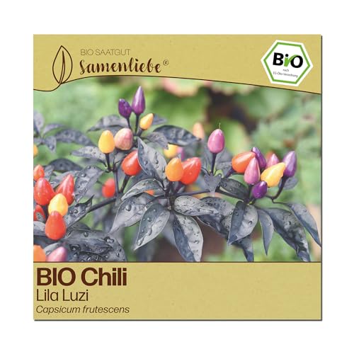 Samenliebe BIO Chili Samen | Lila Luzi - mini & scharf - samenfestes BIO Saatgut
