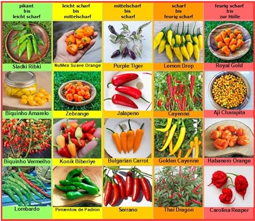 Chili Set 20 Sorten Samen Saatgut einzelnd verpackt von pikant bis extrem scharf aus aller Welt Peperoni