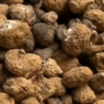 Maca Knollen