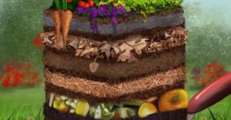 Der Lasagne-Garten