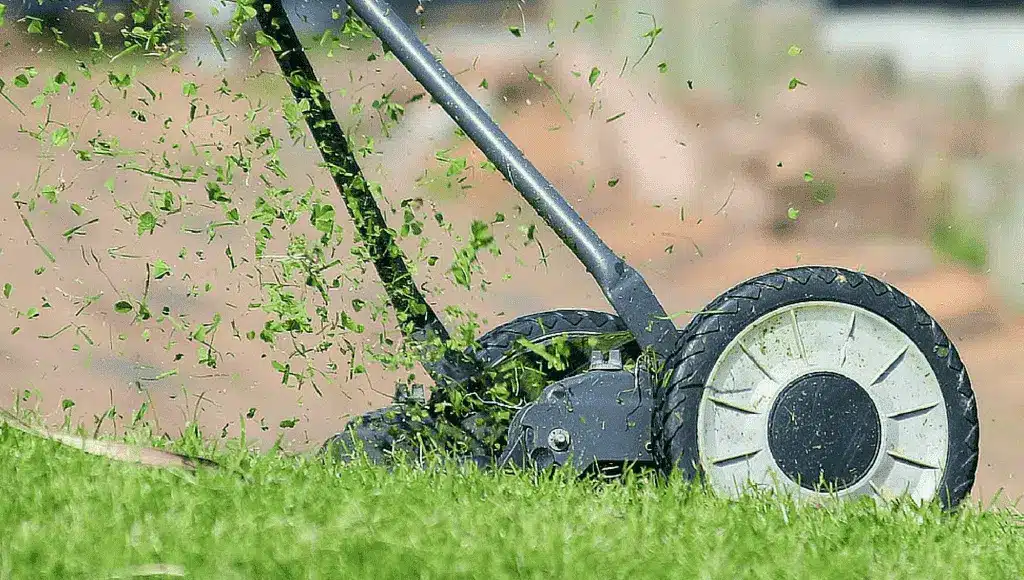 Rasen im Garten vorbereiten