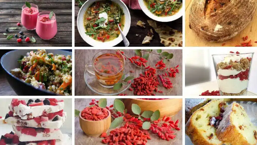 Goji Beeren Verwertung