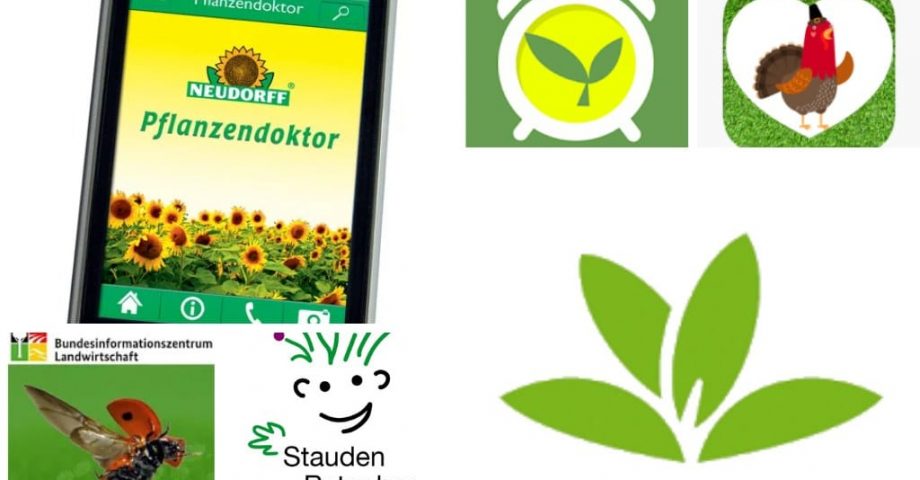 6 Garten-Apps für einen grünen und gesunden Garten