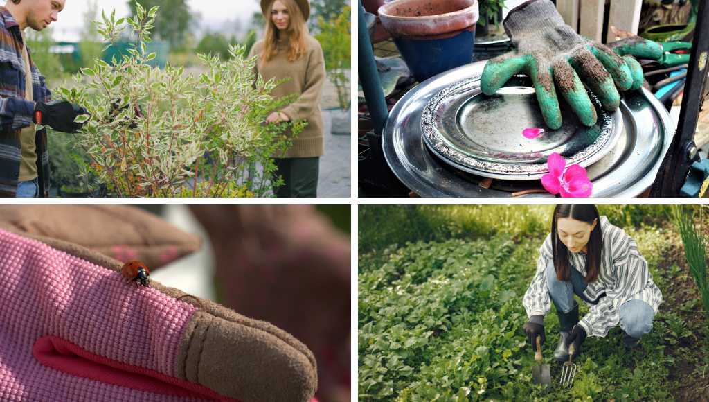 Was zeichnet einen guten Gartenhandschuh aus?