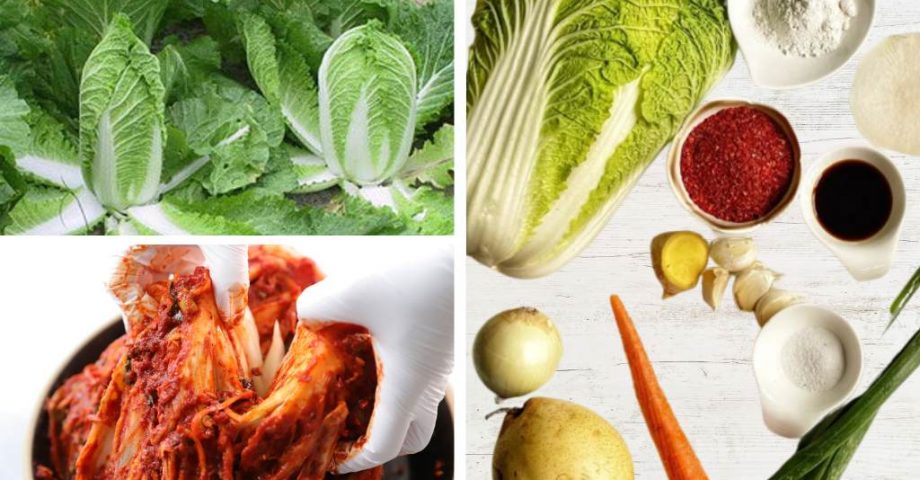 Kimchi – wie Sie Ihr eigenes leckeres Pickle anbauen und fermentieren