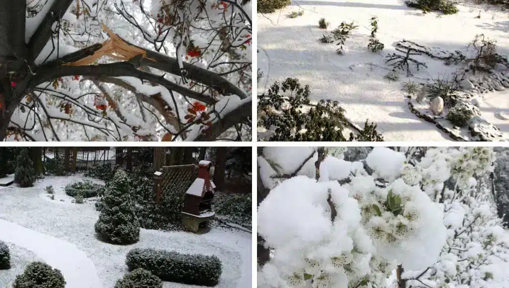 Schnee als Kälteschutz 